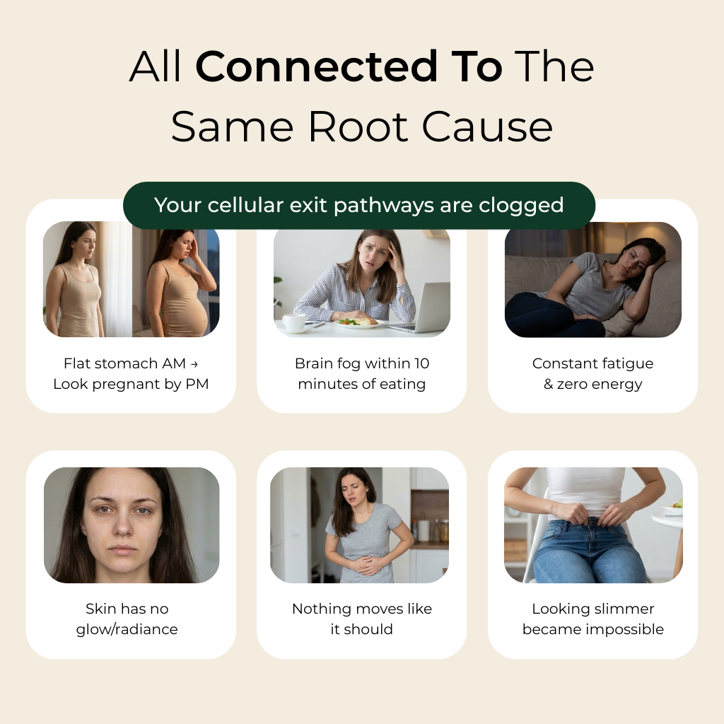 Formel med maksimal potention - Cellulare rensende spirulina-tabletter fra AVIV™